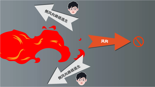 【動畫】森林草原防火“十不準(zhǔn)”“五不燒”！這些安全知識要牢記